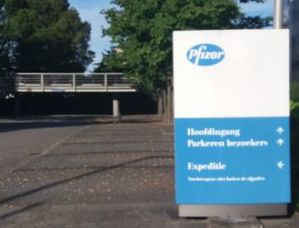 Pfizer analist rotterdam