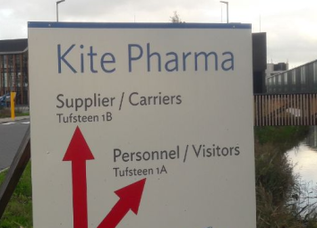Gilead sciences kite nederland analist